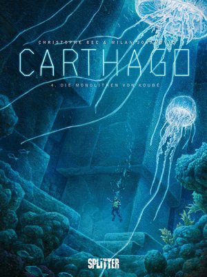 cover image of Carthago. Band 4